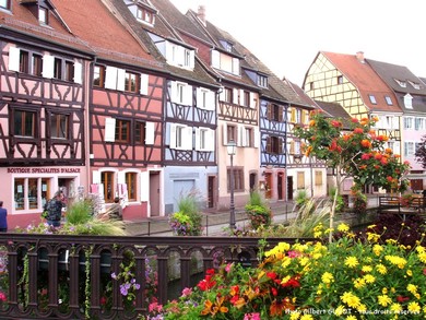 Depuis le Gite en Alsace, visitez Colmar